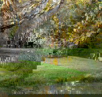 Gateway Island Parklands - Southport Accommodation