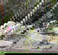 Maroochy Regional Bushland Botanic Garden - Accommodation Southport