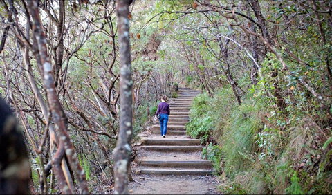 Princes Rock Walking Track - Southport Accommodation 0