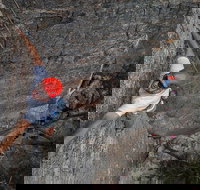 Small-Group Weekend Rock Climbing Adventure from Katoomba - Accommodation Southport