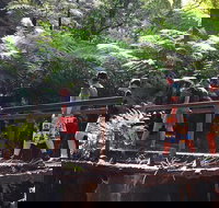 Glow Worm Tunnel Hike - Accommodation Southport