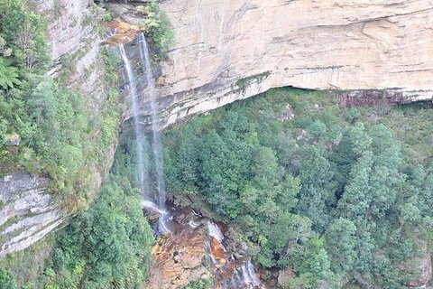 All-Inclusive Blue Mountains Tour In A Luxury Mercedes Sprinter - Accommodation Southport 9