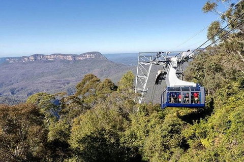 All-Inclusive Blue Mountains Tour In A Luxury Mercedes Sprinter - Accommodation Southport 11