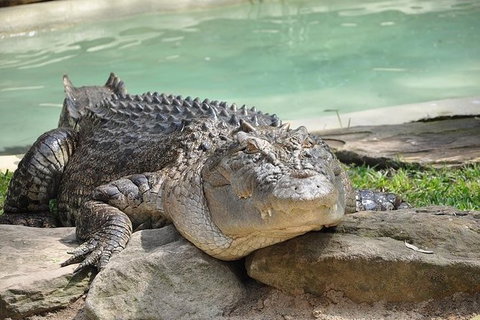 All-Inclusive Blue Mountains Tour In A Luxury Mercedes Sprinter - Accommodation Southport 7