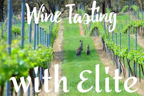 Six Hour - Plan Your Own Wine And Cheese Tour Hunter Valley - Accommodation Southport 7