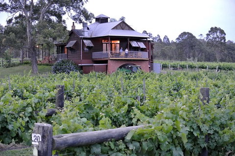 Six Hour - Plan Your Own Wine And Cheese Tour Hunter Valley - Accommodation Southport 11