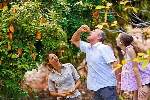 Full-Day Guided Tour Byron Bay With Pickup - Southport Accommodation 1
