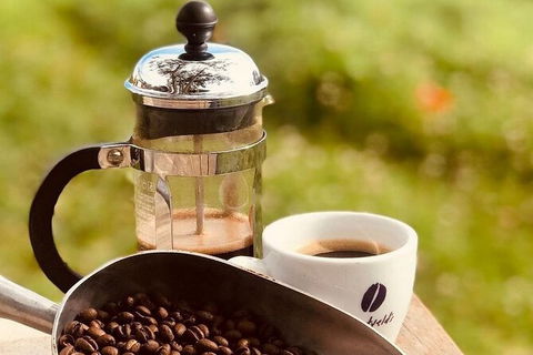 Coffee Farm Tour And Workshop, Byron Bay Hinterland - Southport Accommodation 0