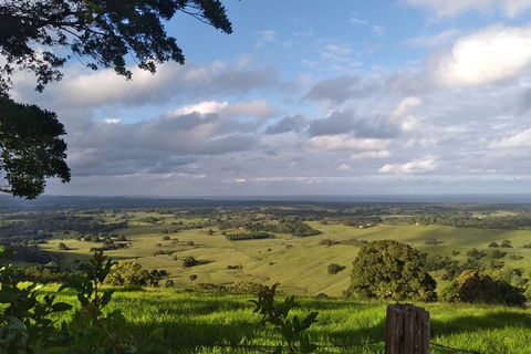 Coffee Farm Tour And Workshop, Byron Bay Hinterland - Southport Accommodation 4