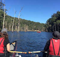 Canoes Cool Climate Wines  Canaps - Kangaroo Valley - Southport Accommodation
