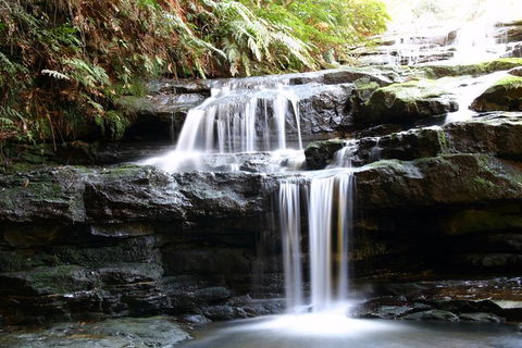 Private 10-hour Tour To Blue Mountains From Sydney - Hotel Pick Up & Drop Off - Southport Accommodation 6