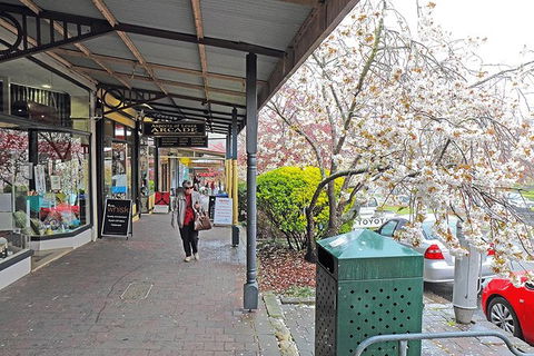 Blue Mountains Highlights, Wildlife Park And Scenic World Full Day Private Tour - Southport Accommodation 2