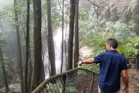 Blue Mountains Highlights, Wildlife Park And Scenic World Full Day Private Tour - Southport Accommodation 6