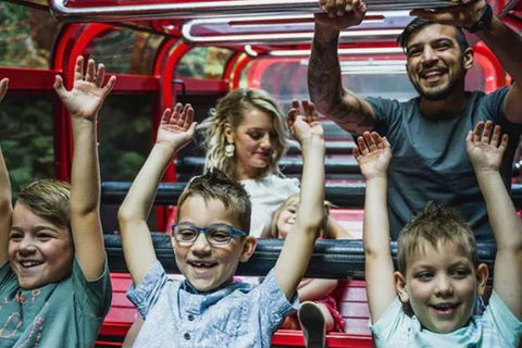 Blue Mountains Highlights, Wildlife Park And Scenic World Full Day Private Tour - Southport Accommodation 5