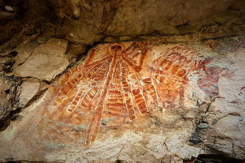 Arnhem Land Injalak Hill Full-Day Tour From Jabiru - Southport Accommodation 2