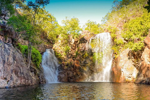 Litchfield National Park Waterfalls Day Trip From Darwin Including Termite Mounds And Lunch - Accommodation Southport 0