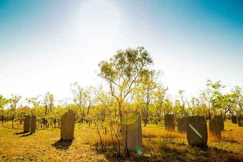Litchfield National Park Waterfalls Day Trip From Darwin Including Termite Mounds And Lunch - Accommodation Southport 1