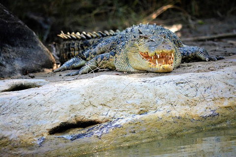 Ethical Adventures - Kakadu 2 Day- Max 10 Guests - Southport Accommodation 3