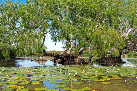 Ethical Adventures - Kakadu 2 Day- Max 10 Guests - Southport Accommodation 10