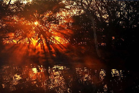 Ethical Adventures - Kakadu 2 Day- Max 10 Guests - Southport Accommodation 5