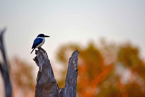 Ethical Adventures - Kakadu 2 Day- Max 10 Guests - Southport Accommodation 4