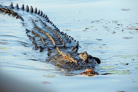 Ethical Adventures - Kakadu 2 Day- Max 10 Guests - Southport Accommodation 8