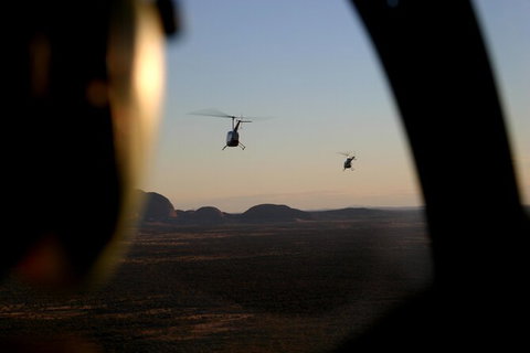 Helicopter Scenic: Lizard Safari - Southport Accommodation 1