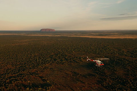 Helicopter Scenic: Lizard Safari - Southport Accommodation 4