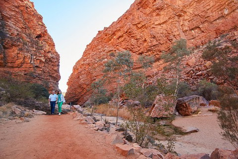 Best Of Alice Springs Full Day Tour - Accommodation Southport 2