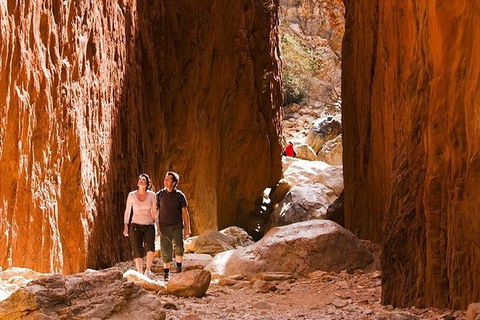 Alice Springs, Uluru Ayers Rock & Kings Canyon 8 Days Touring Package - Southport Accommodation 5