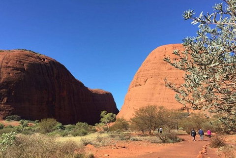 5-Hour Kata Tjuta Sunrise Tour From Ayers Rock With Breakfast - Southport Accommodation 2