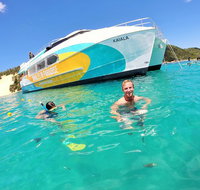 All Inclusive Dolphin and Tangalooma Wrecks Cruise - Southport Accommodation