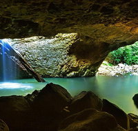 Springbrook and Mt Tamborine Adventure Tour - Bring the Kids - Southport Accommodation