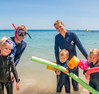 Full-Day Cruise Tour to Frankland Islands Great Barrier Reef - Southport Accommodation