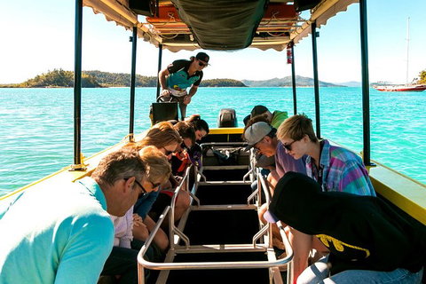 Airlie Beach Glass Bottom Boat Tour - Accommodation Southport 5