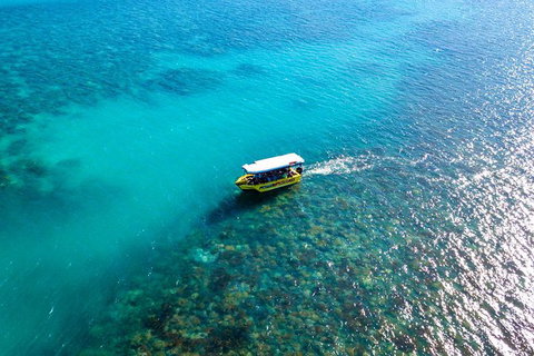 Airlie Beach Glass Bottom Boat Tour - Accommodation Southport 3