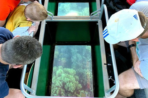 Airlie Beach Glass Bottom Boat Tour - Accommodation Southport 2