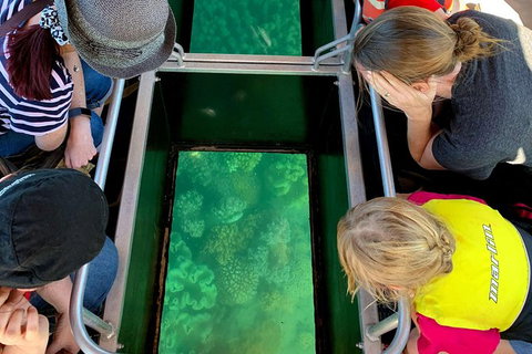 Airlie Beach Glass Bottom Boat Tour - Accommodation Southport 11