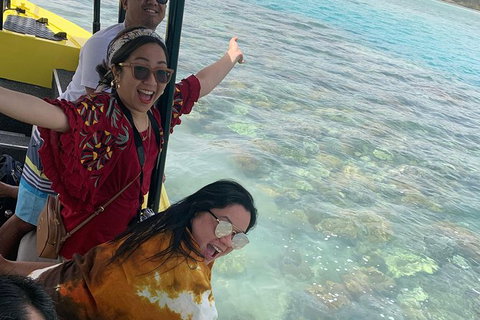 Airlie Beach Glass Bottom Boat Tour - Accommodation Southport 6