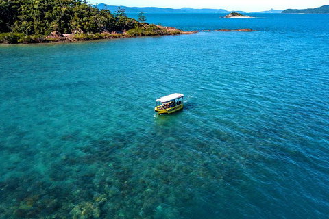 Airlie Beach Glass Bottom Boat Tour - Accommodation Southport 8
