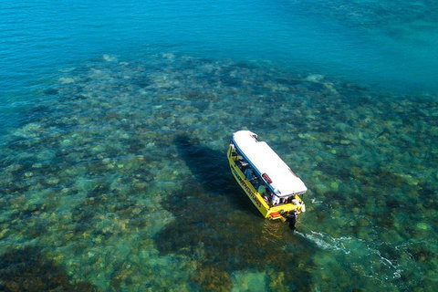 Airlie Beach Glass Bottom Boat Tour - Accommodation Southport 9