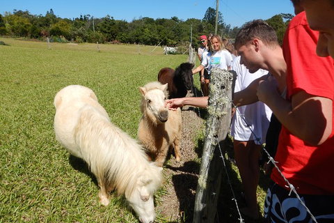 Atherton Tablelands Waterfalls Tour From Cairns - Accommodation Southport 2