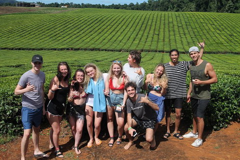 Atherton Tablelands Waterfalls Tour From Cairns - Accommodation Southport 6