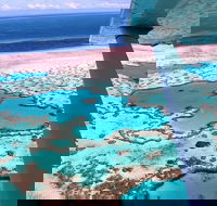 8-Day Cairns Tour Great Barrier Reef Kuranda Daintree Rainforest - Southport Accommodation