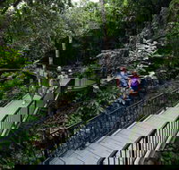 4-Day Cairns with Great Barrier Reef and Daintree Rainforest - Southport Accommodation