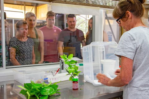 Australian Butterfly Sanctuary - Southport Accommodation 6