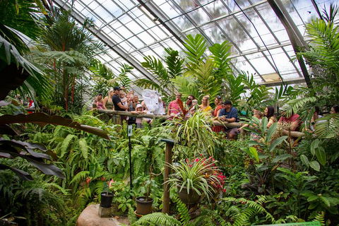 Australian Butterfly Sanctuary - Southport Accommodation 4