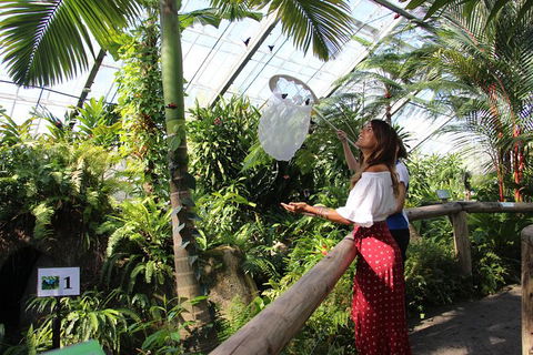 Australian Butterfly Sanctuary - Southport Accommodation 2