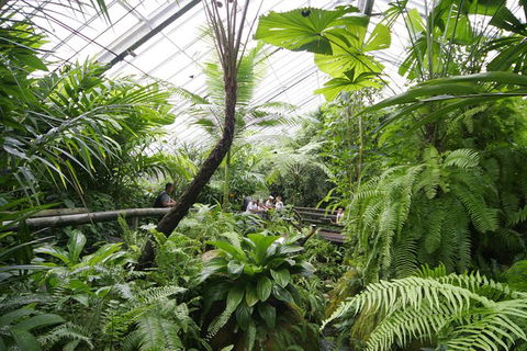 Australian Butterfly Sanctuary - Southport Accommodation 1