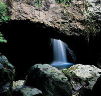 Springbrook National Park  Gold Coast Full Day Luxury Tour from Brisbane - Southport Accommodation